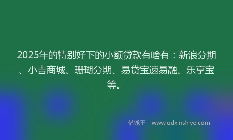 2025年的特别好下的小额贷款有啥有：新浪分期、小吉商城、珊瑚分期、易贷宝速易融、乐享宝等。