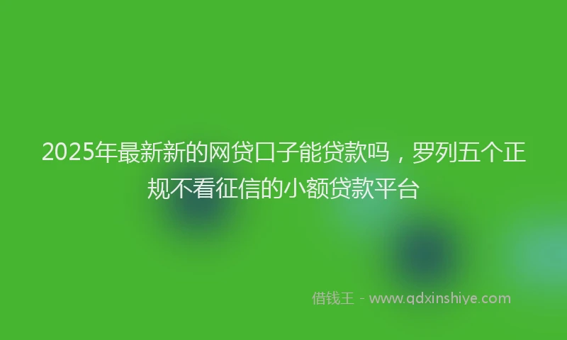 2025年最新新的网贷口子能贷款吗，罗列五个正规不看征信的小额贷款平台