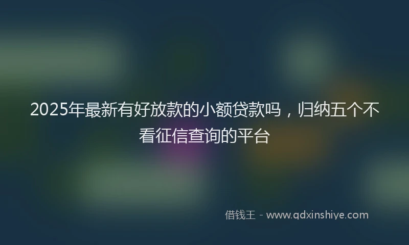 2025年最新有好放款的小额贷款吗，归纳五个不看征信查询的平台