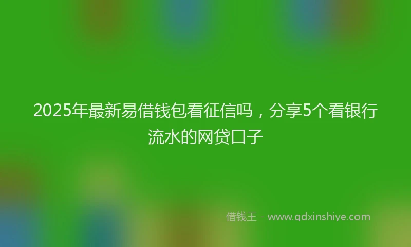 2025年最新易借钱包看征信吗，分享5个看银行流水的网贷口子