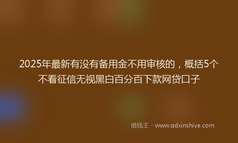 2025年最新有没有备用金不用审核的，概括5个不看征信无视黑白百分百下款网贷口子