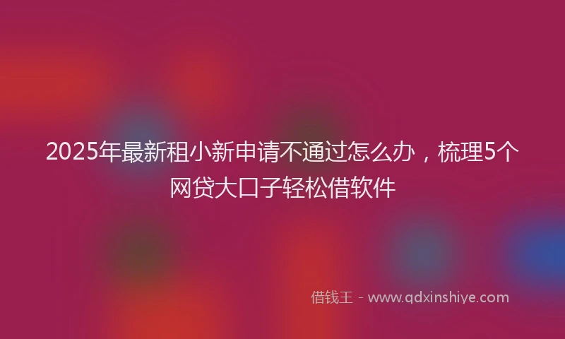 2025年最新租小新申请不通过怎么办，梳理5个网贷大口子轻松借软件