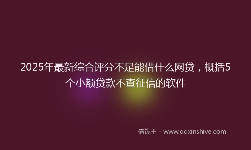 2025年最新综合评分不足能借什么网贷，概括5个小额贷款不查征信的软件