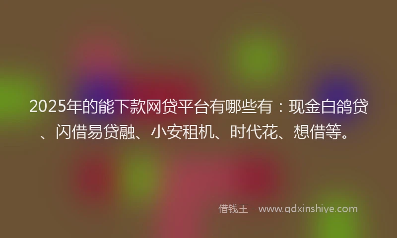 2025年的能下款网贷平台有哪些有：现金白鸽贷、闪借易贷融、小安租机、时代花、想借等。
