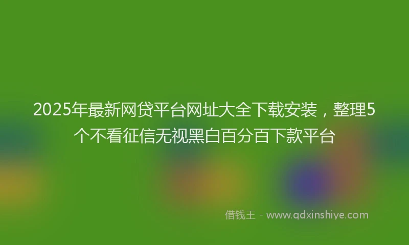 2025年最新网贷平台网址大全下载安装，整理5个不看征信无视黑白百分百下款平台