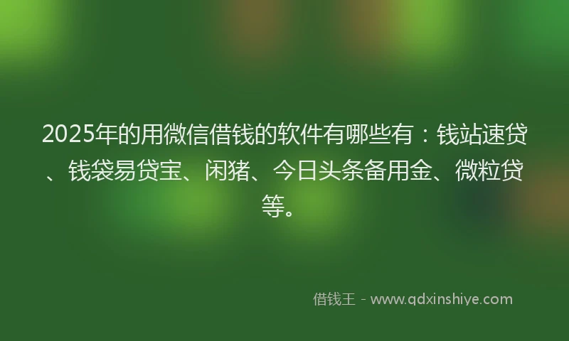 2025年的用微信借钱的软件有哪些有：钱站速贷、钱袋易贷宝、闲猪、今日头条备用金、微粒贷等。