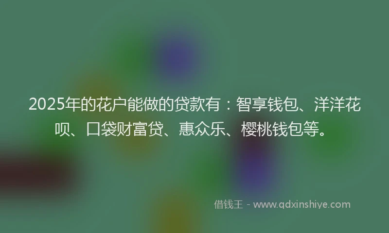 2025年的花户能做的贷款有：智享钱包、洋洋花呗、口袋财富贷、惠众乐、樱桃钱包等。