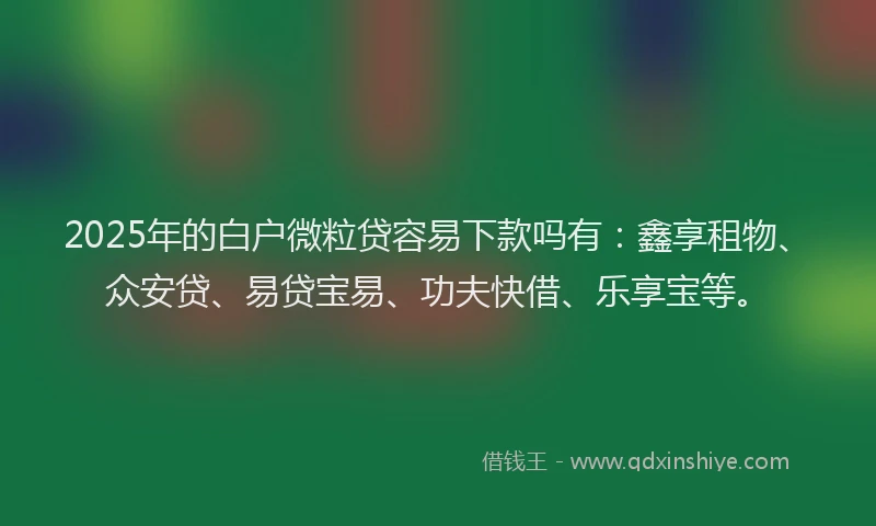 2025年的白户微粒贷容易下款吗有：鑫享租物、众安贷、易贷宝易、功夫快借、乐享宝等。