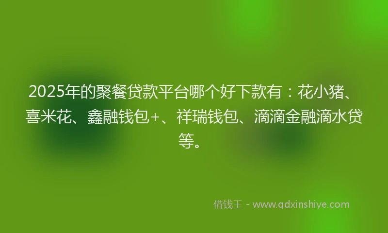2025年的聚餐贷款平台哪个好下款有：花小猪、喜米花、鑫融钱包+、祥瑞钱包、滴滴金融滴水贷等。