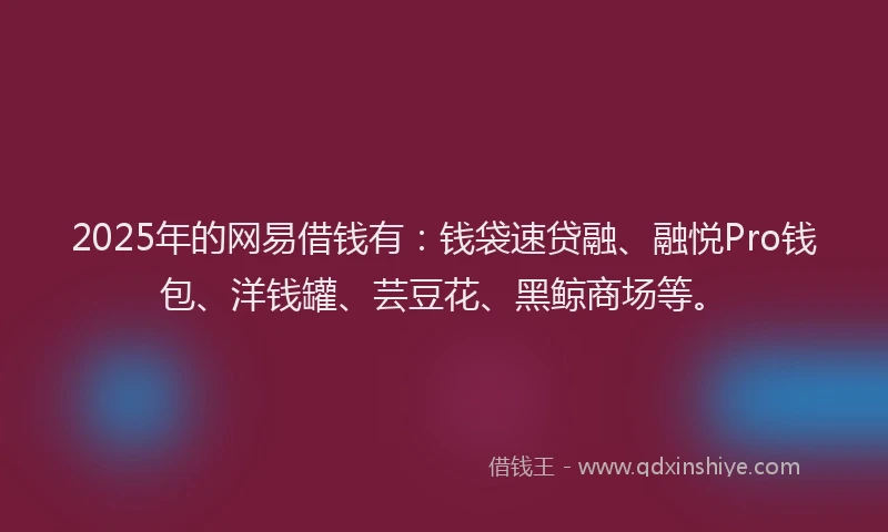 2025年的网易借钱有：钱袋速贷融、融悦Pro钱包、洋钱罐、芸豆花、黑鲸商场等。