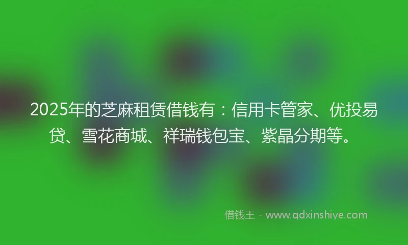 2025年的芝麻租赁借钱有：信用卡管家、优投易贷、雪花商城、祥瑞钱包宝、紫晶分期等。