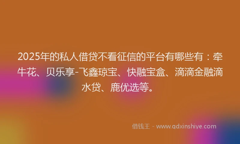 2025年的私人借贷不看征信的平台有哪些有：牵牛花、贝乐享-飞鑫琼宝、快融宝盒、滴滴金融滴水贷、鹿优选等。