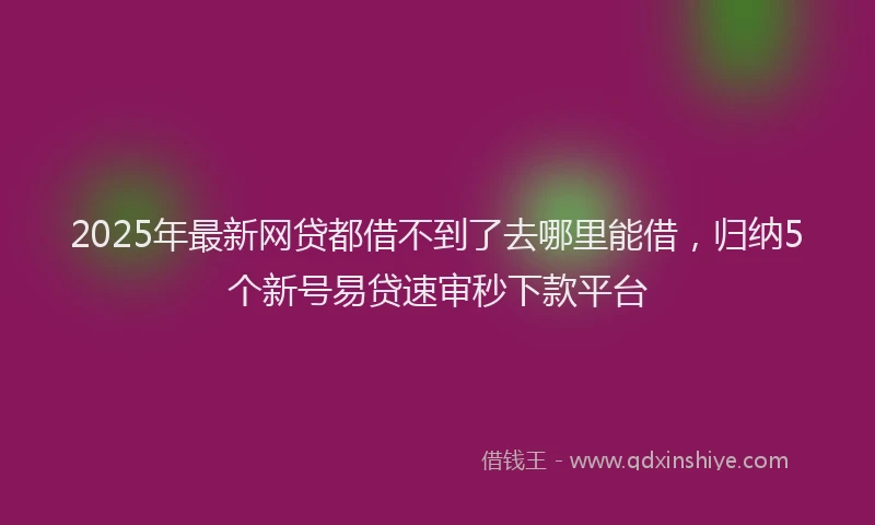 2025年最新网贷都借不到了去哪里能借，归纳5个新号易贷速审秒下款平台