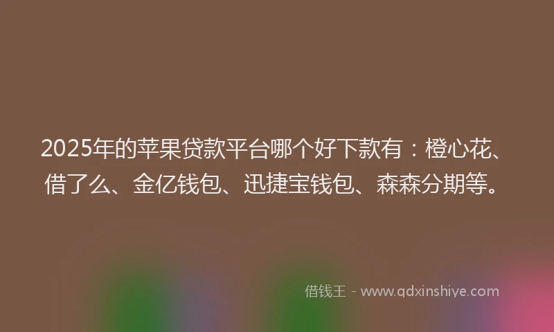 2025年的苹果贷款平台哪个好下款有：橙心花、借了么、金亿钱包、迅捷宝钱包、森森分期等。