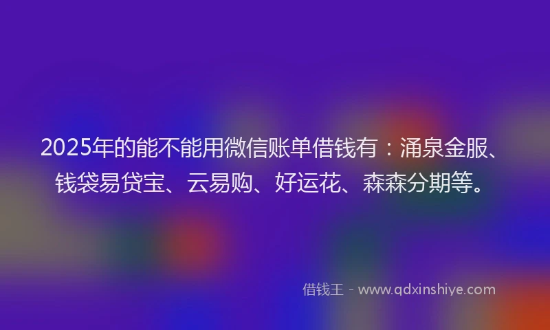 2025年的能不能用微信账单借钱有：涌泉金服、钱袋易贷宝、云易购、好运花、森森分期等。