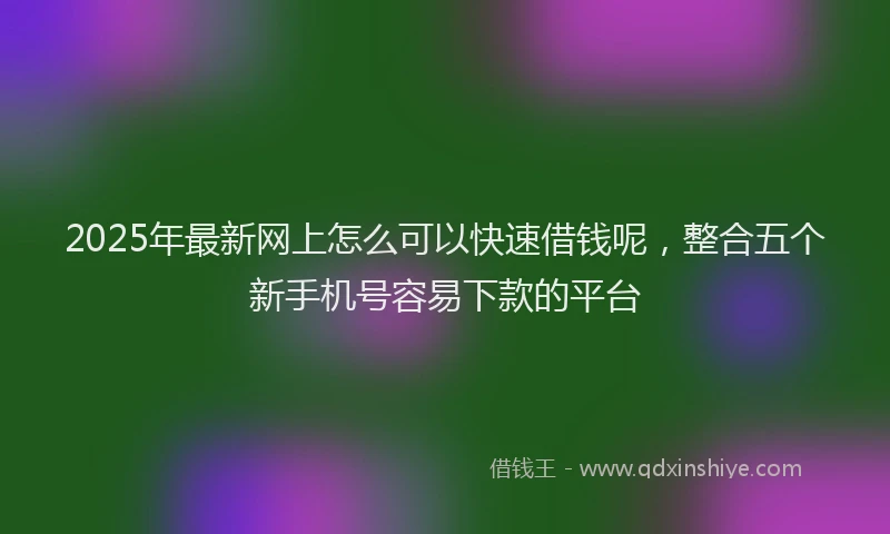 2025年最新网上怎么可以快速借钱呢，整合五个新手机号容易下款的平台