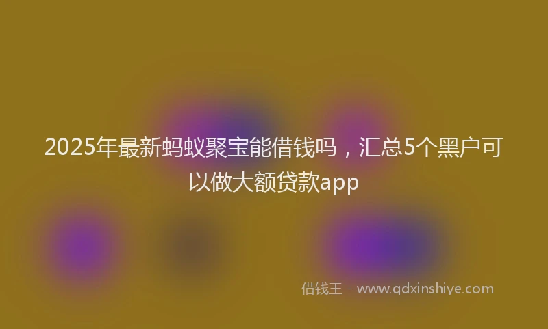 2025年最新蚂蚁聚宝能借钱吗，汇总5个黑户可以做大额贷款app