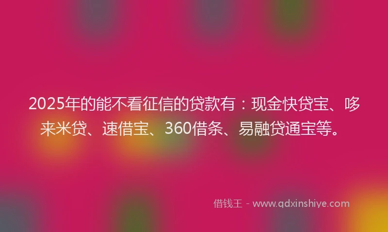 2025年的能不看征信的贷款有：现金快贷宝、哆来米贷、速借宝、360借条、易融贷通宝等。