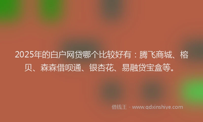 2025年的白户网贷哪个比较好有：腾飞商城、榕贝、森森借呗通、银杏花、易融贷宝盒等。