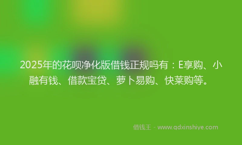 2025年的花呗净化版借钱正规吗有：E享购、小融有钱、借款宝贷、萝卜易购、快莱购等。