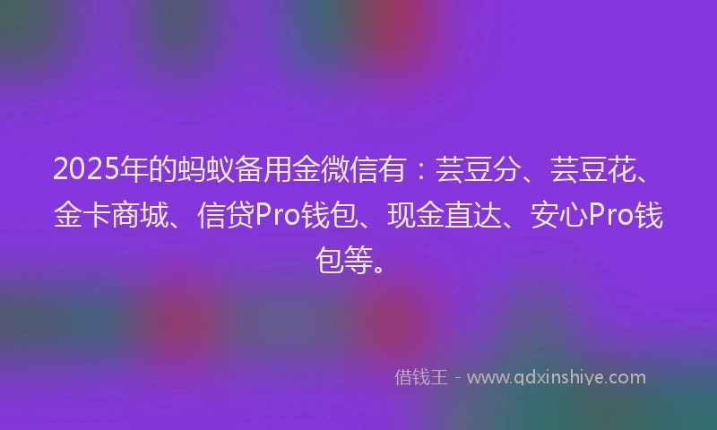 2025年的蚂蚁备用金微信有：芸豆分、芸豆花、金卡商城、信贷Pro钱包、现金直达、安心Pro钱包等。