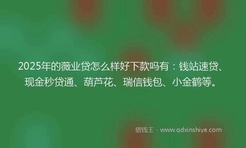 2025年的薇业贷怎么样好下款吗有：钱站速贷、现金秒贷通、葫芦花、瑞信钱包、小金鹤等。