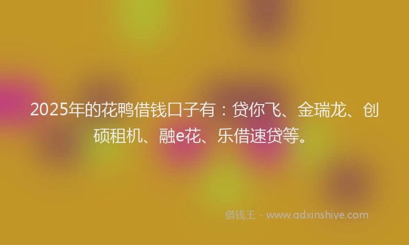2025年的花鸭借钱口子有：贷你飞、金瑞龙、创硕租机、融e花、乐借速贷等。