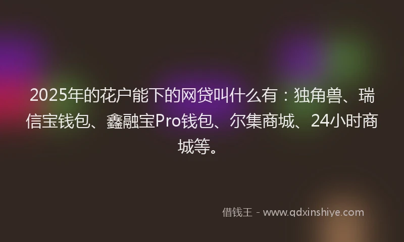 2025年的花户能下的网贷叫什么有：独角兽、瑞信宝钱包、鑫融宝Pro钱包、尔集商城、24小时商城等。