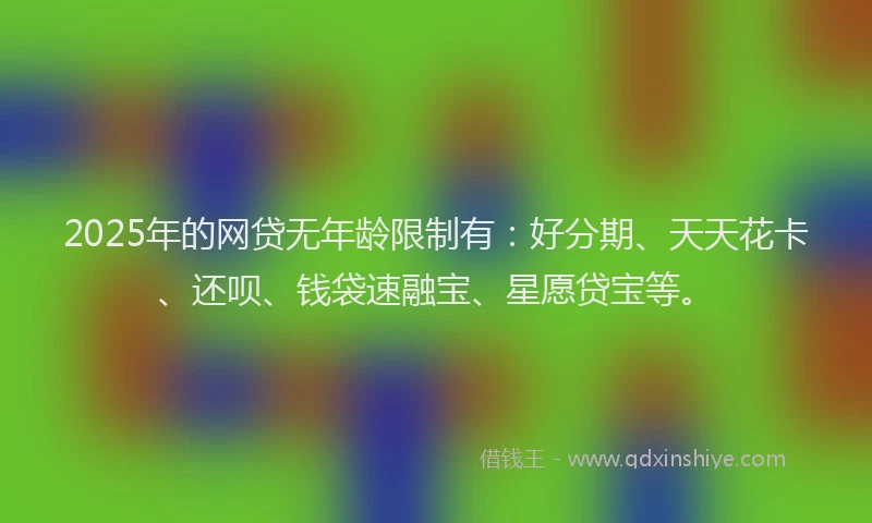 2025年的网贷无年龄限制有：好分期、天天花卡、还呗、钱袋速融宝、星愿贷宝等。