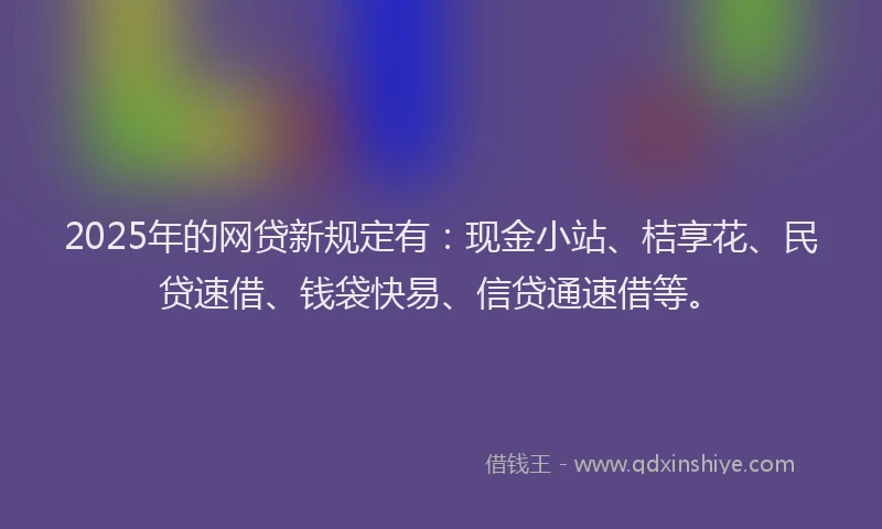 2025年的网贷新规定有：现金小站、桔享花、民贷速借、钱袋快易、信贷通速借等。