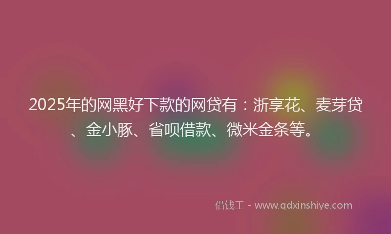 2025年的网黑好下款的网贷有：浙享花、麦芽贷、金小豚、省呗借款、微米金条等。