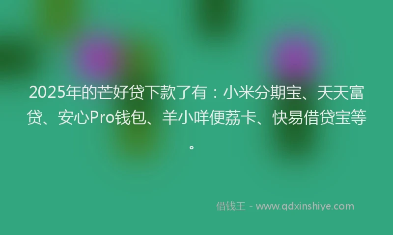 2025年的芒好贷下款了有：小米分期宝、天天富贷、安心Pro钱包、羊小咩便荔卡、快易借贷宝等。