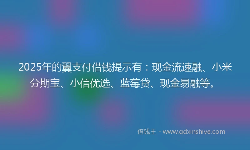 2025年的翼支付借钱提示有：现金流速融、小米分期宝、小信优选、蓝莓贷、现金易融等。