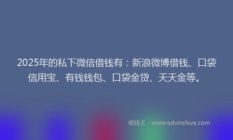 2025年的私下微信借钱有：新浪微博借钱、口袋信用宝、有钱钱包、口袋金贷、天天金等。