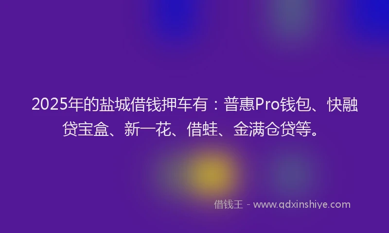 2025年的盐城借钱押车有：普惠Pro钱包、快融贷宝盒、新一花、借蛙、金满仓贷等。