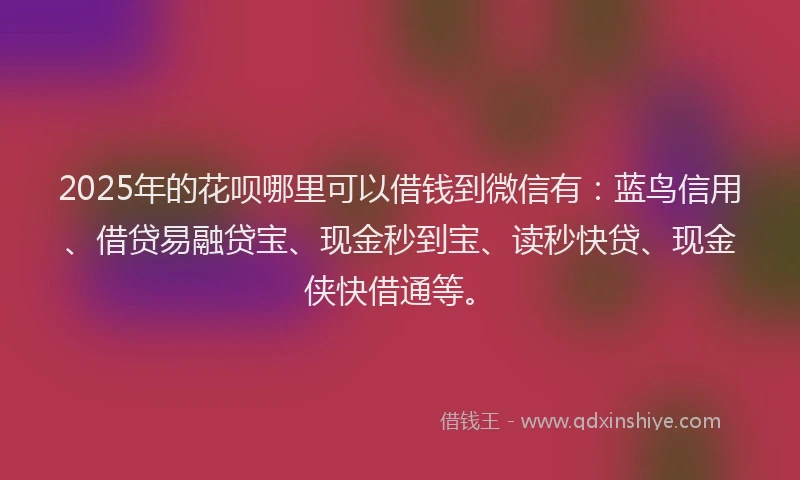 2025年的花呗哪里可以借钱到微信有：蓝鸟信用、借贷易融贷宝、现金秒到宝、读秒快贷、现金侠快借通等。