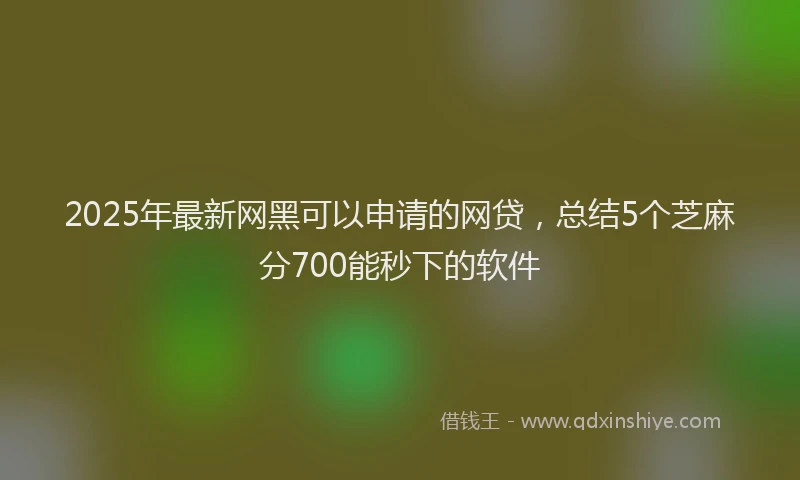 2025年最新网黑可以申请的网贷，总结5个芝麻分700能秒下的软件