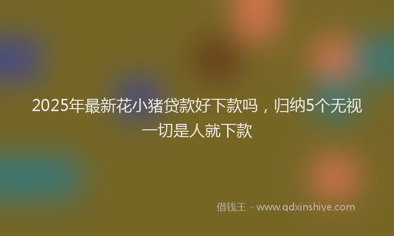 2025年最新花小猪贷款好下款吗，归纳5个无视一切是人就下款