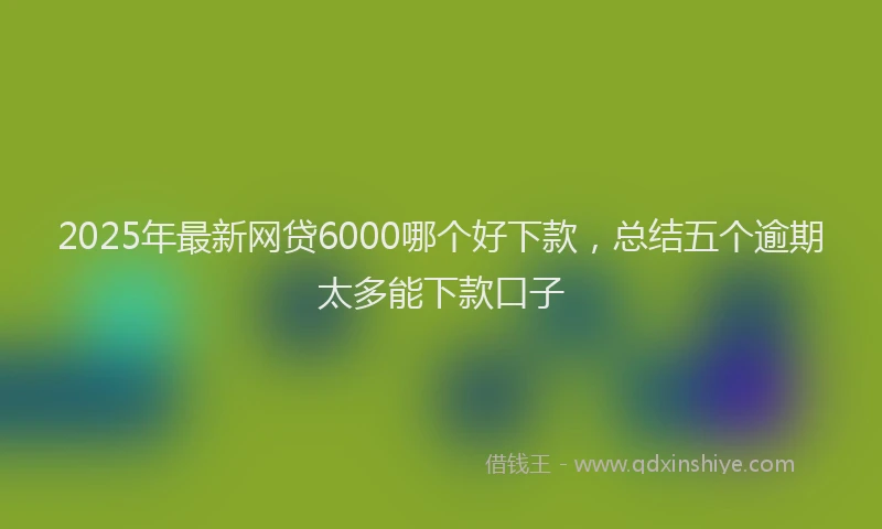 2025年最新网贷6000哪个好下款，总结五个逾期太多能下款口子