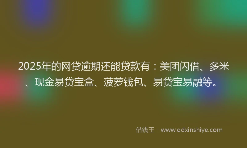 2025年的网贷逾期还能贷款有：美团闪借、多米、现金易贷宝盒、菠萝钱包、易贷宝易融等。