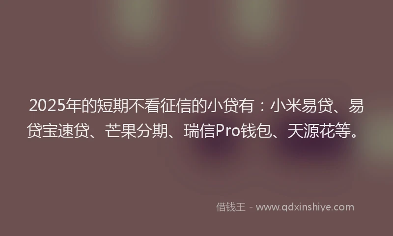 2025年的短期不看征信的小贷有：小米易贷、易贷宝速贷、芒果分期、瑞信Pro钱包、天源花等。
