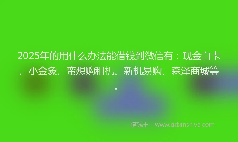 2025年的用什么办法能借钱到微信有：现金白卡、小金象、蛮想购租机、新机易购、森泽商城等。