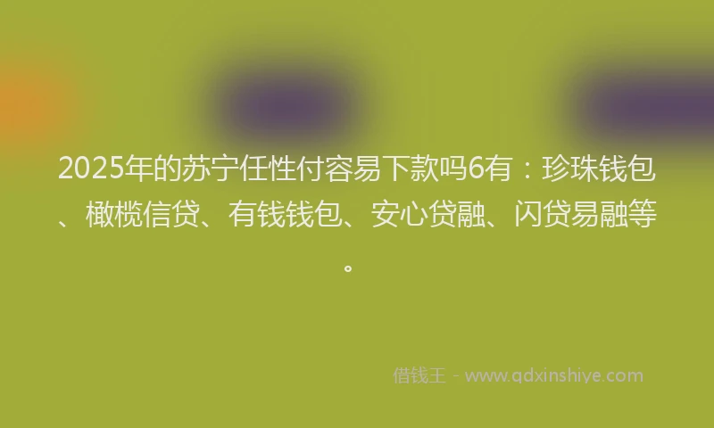 2025年的苏宁任性付容易下款吗6有：珍珠钱包、橄榄信贷、有钱钱包、安心贷融、闪贷易融等。