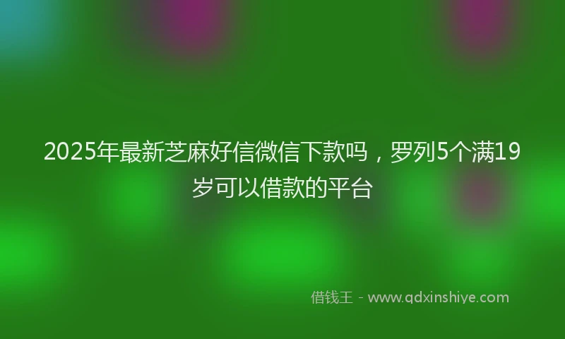 2025年最新芝麻好信微信下款吗，罗列5个满19岁可以借款的平台