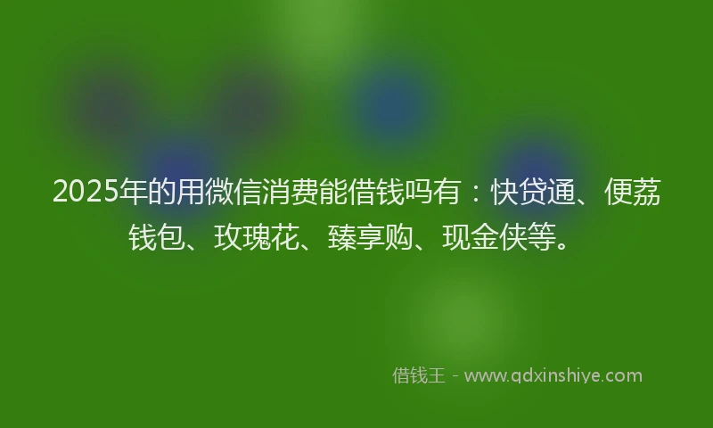 2025年的用微信消费能借钱吗有：快贷通、便荔钱包、玫瑰花、臻享购、现金侠等。
