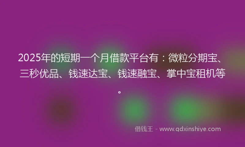 2025年的短期一个月借款平台有：微粒分期宝、三秒优品、钱速达宝、钱速融宝、掌中宝租机等。