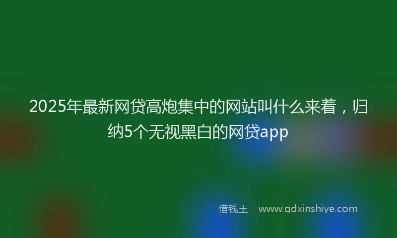 2025年最新网贷高炮集中的网站叫什么来着，归纳5个无视黑白的网贷app