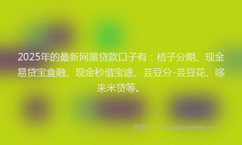 2025年的最新网黑贷款口子有：桔子分期、现金易贷宝盒融、现金秒借宝途、芸豆分-芸豆花、哆来米贷等。