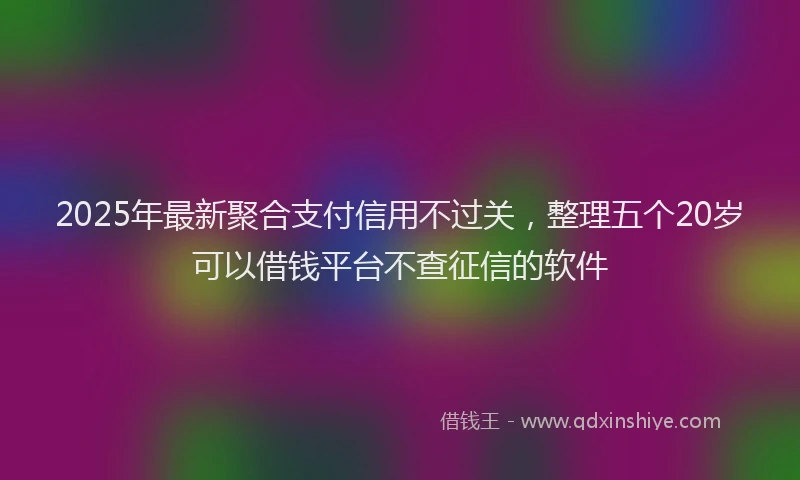 2025年最新聚合支付信用不过关，整理五个20岁可以借钱平台不查征信的软件