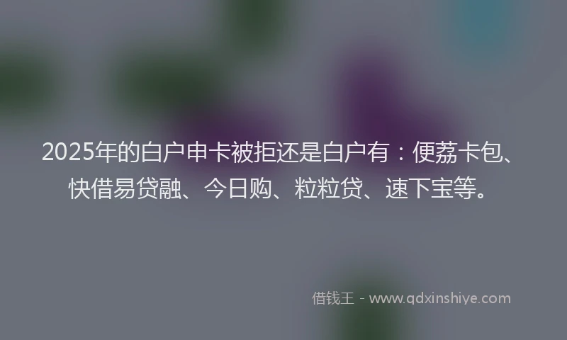 2025年的白户申卡被拒还是白户有：便荔卡包、快借易贷融、今日购、粒粒贷、速下宝等。